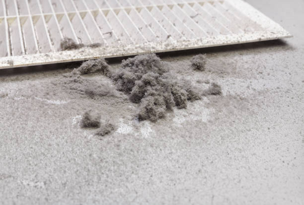 Best Best Air Duct Cleaning Company  in Robie Creek, ID