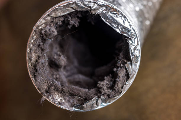Best Air Duct Cleaning Near Me  in Robie Creek, ID